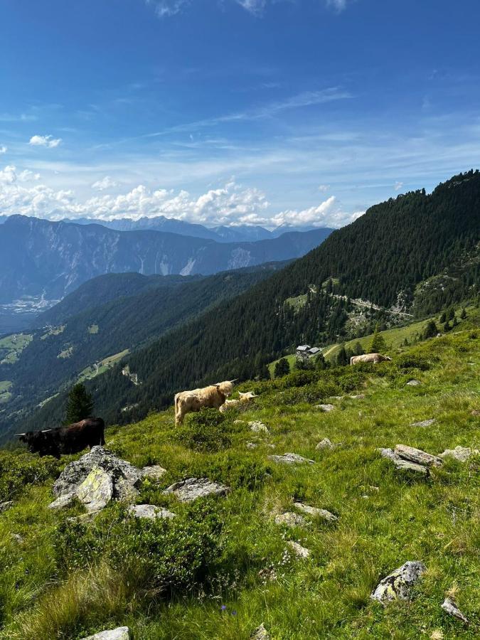 Die Acherberg Alm 외치 외부 사진
